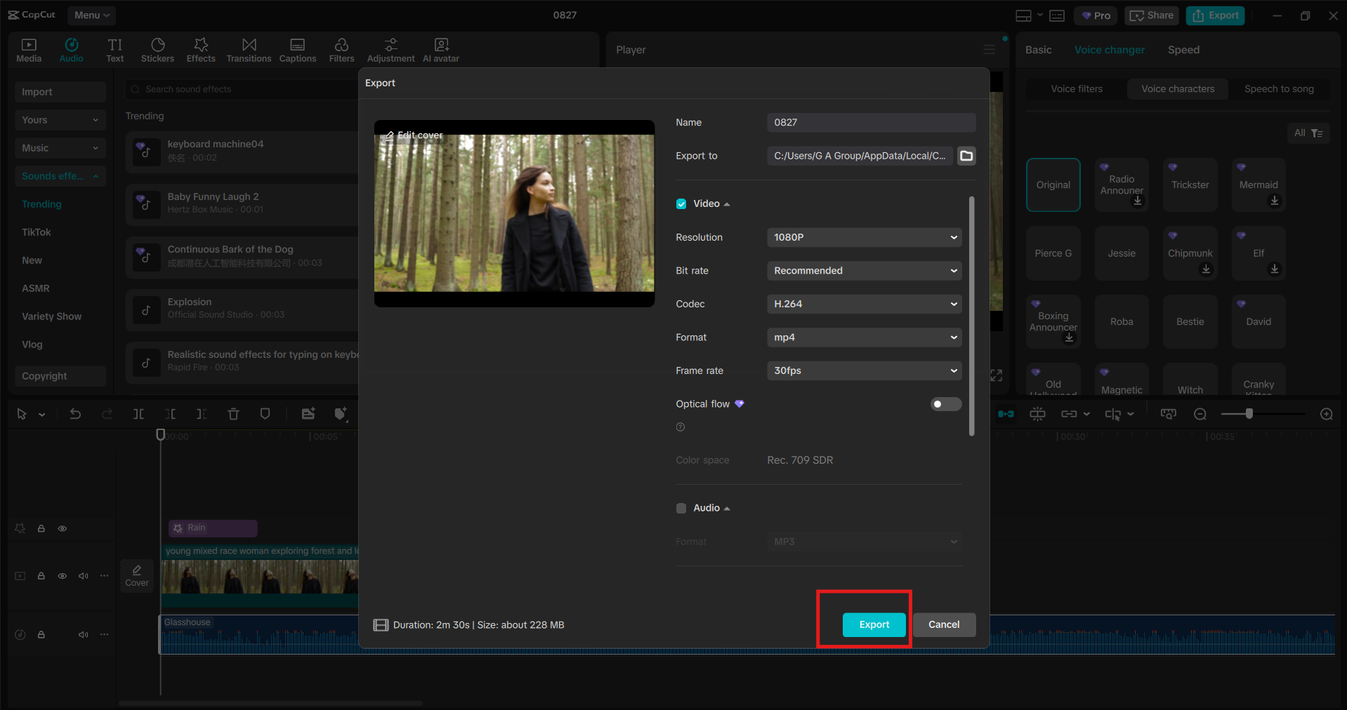 Capcut video editing with voice changer