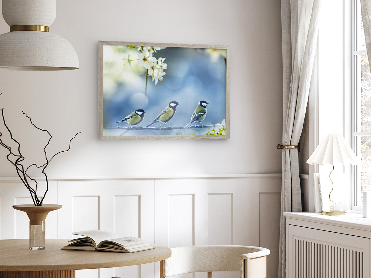 Framed picture of three birds perched on a branch, with flowers blurred in the background.