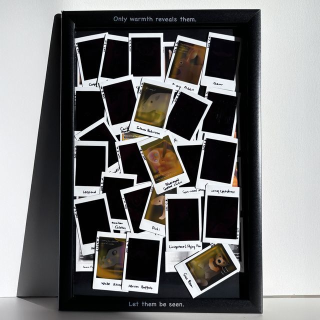 Thermal Imaging of Animal Bodies