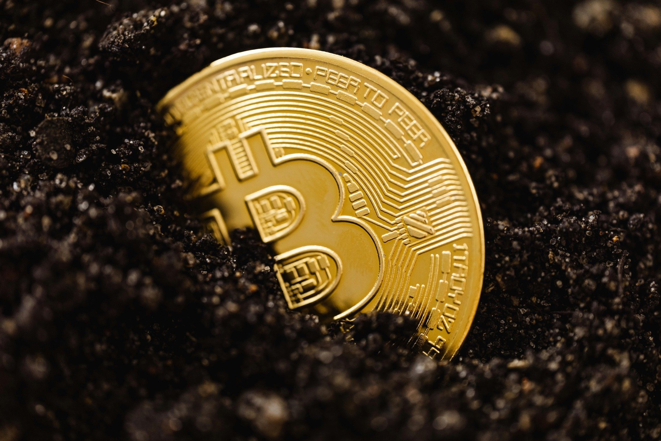 Bit Coin in soil