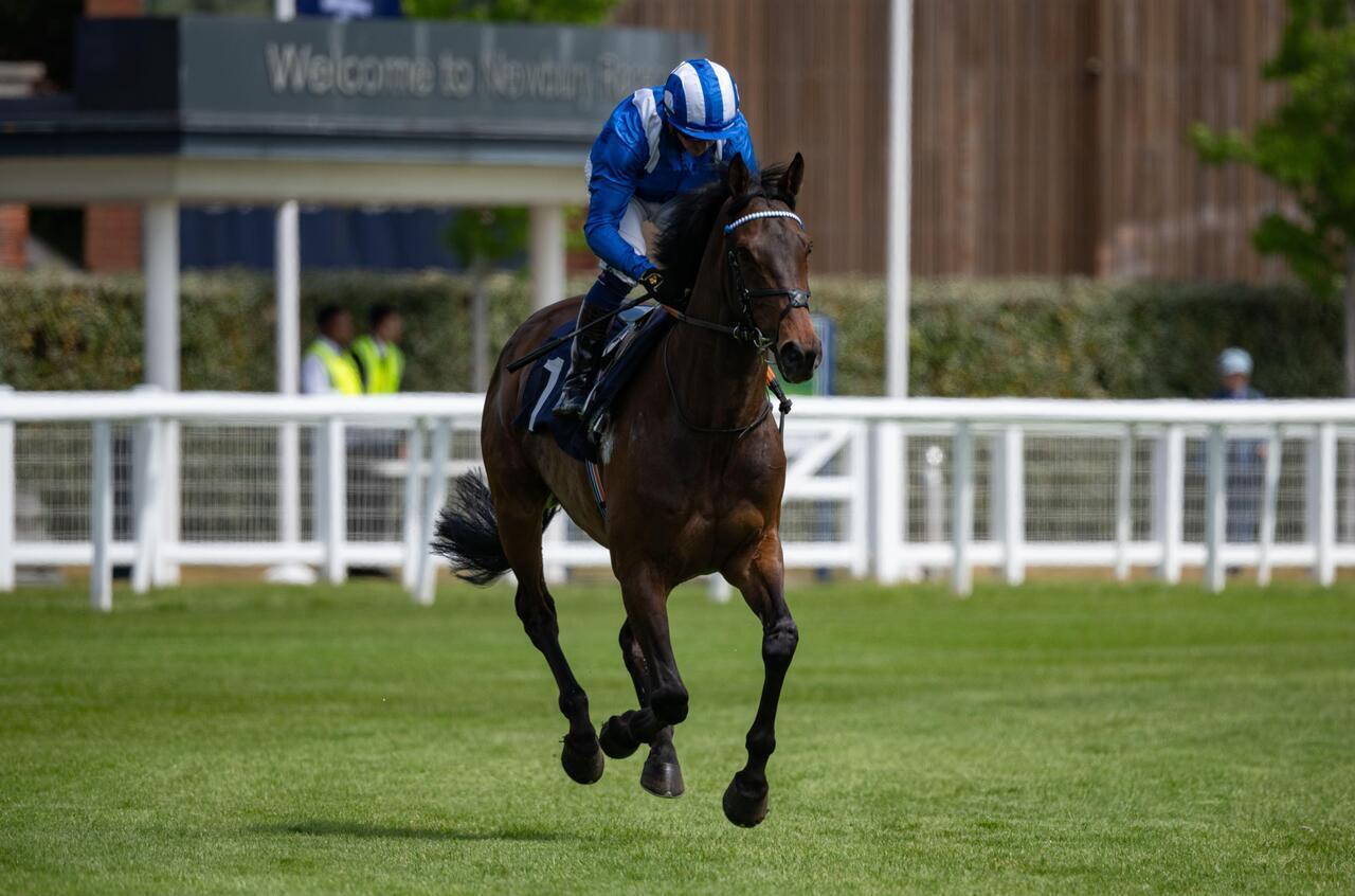 Al Aasy and Jim Crowley head to the start of the Group 3 Sky Sports Racing Aston Park Stakes at Newbury.