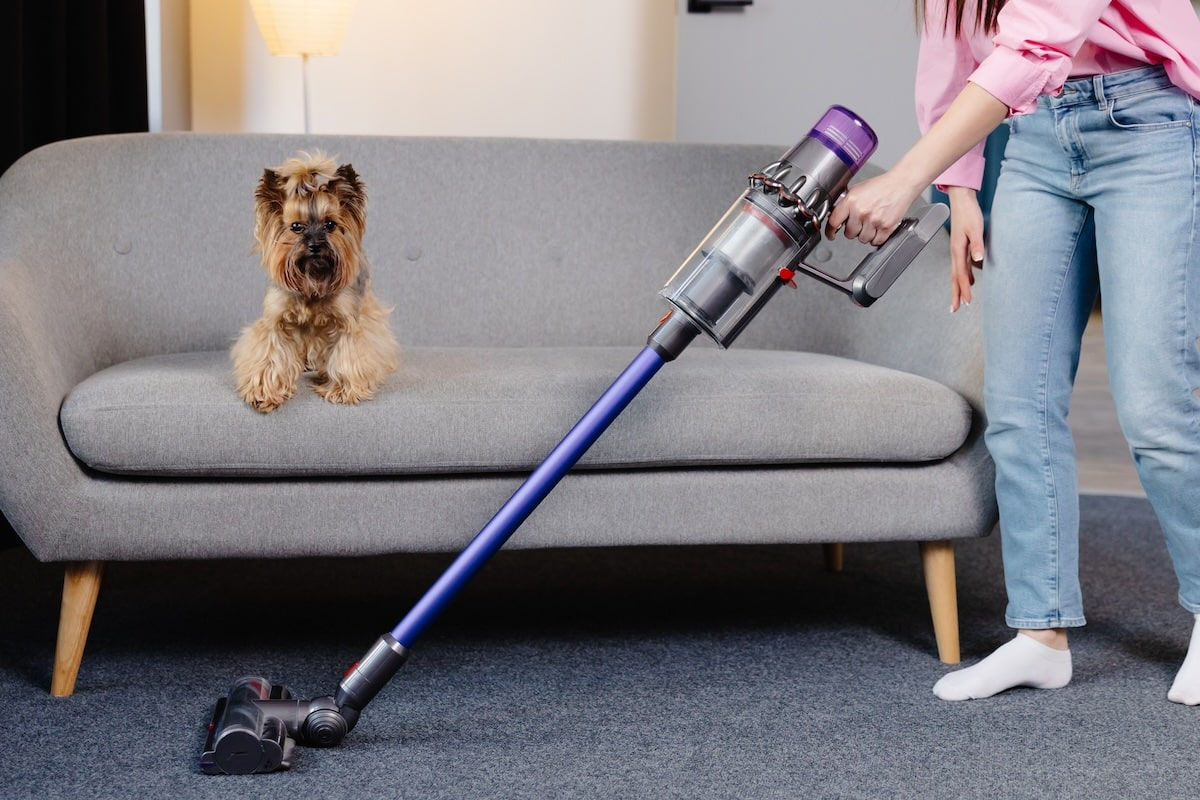 Best Cordless Wet and Dry Vacuum Cleaner in 2026 Tineco vs Dyson vs Dreame (UK Guide)
