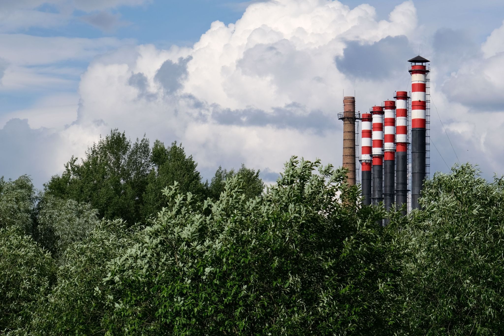 Carbon Management 