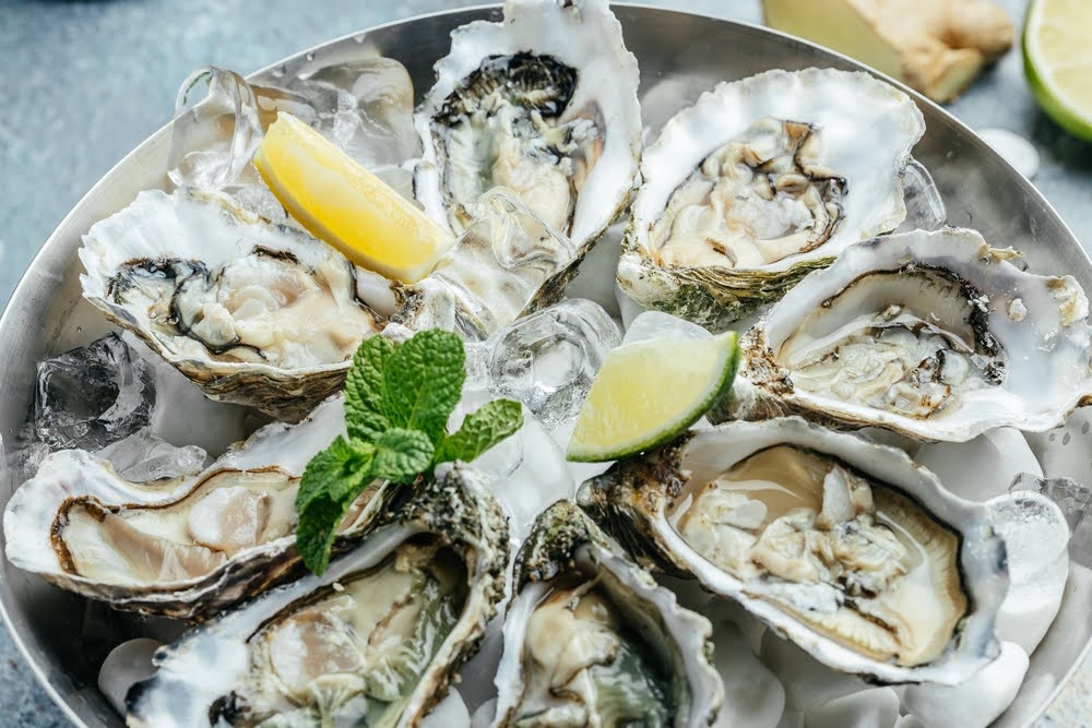 Fresh oysters with lemon and ice. Restaurant delicacy. oysters dish. Oyster dinner with champagne in restaurant, banner, menu, recipe place for text, top view,