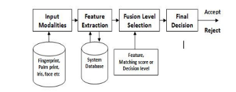 Diagram showing Multimodal Biometric Authentication System – This outlines how multiple input modalities, like face, iris, or fingerprint, are processed through feature extraction and fusion to generate a final decision