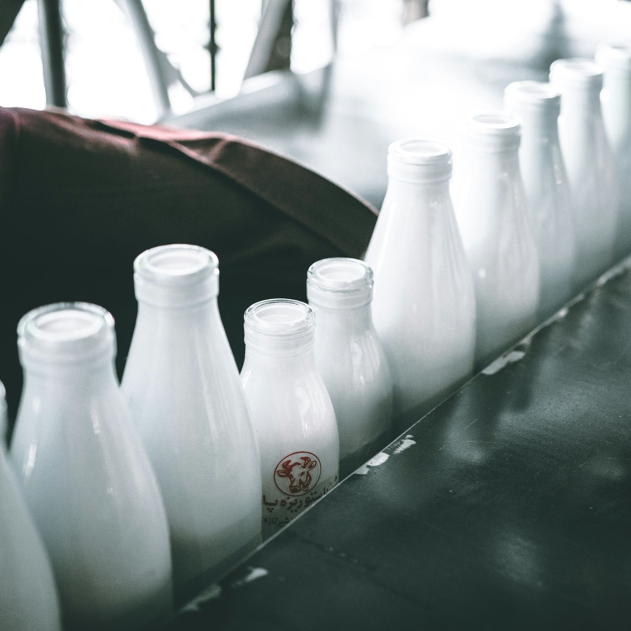 Grass-Fed Whey Protein