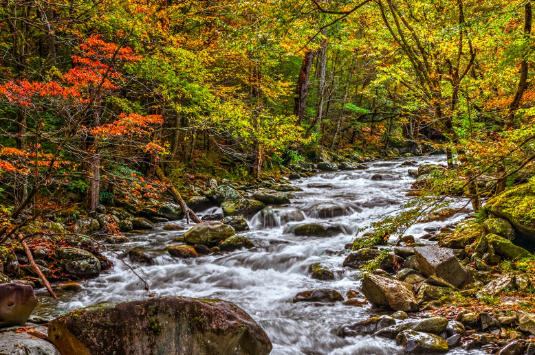Greenbriar Park In Sevierville, TN