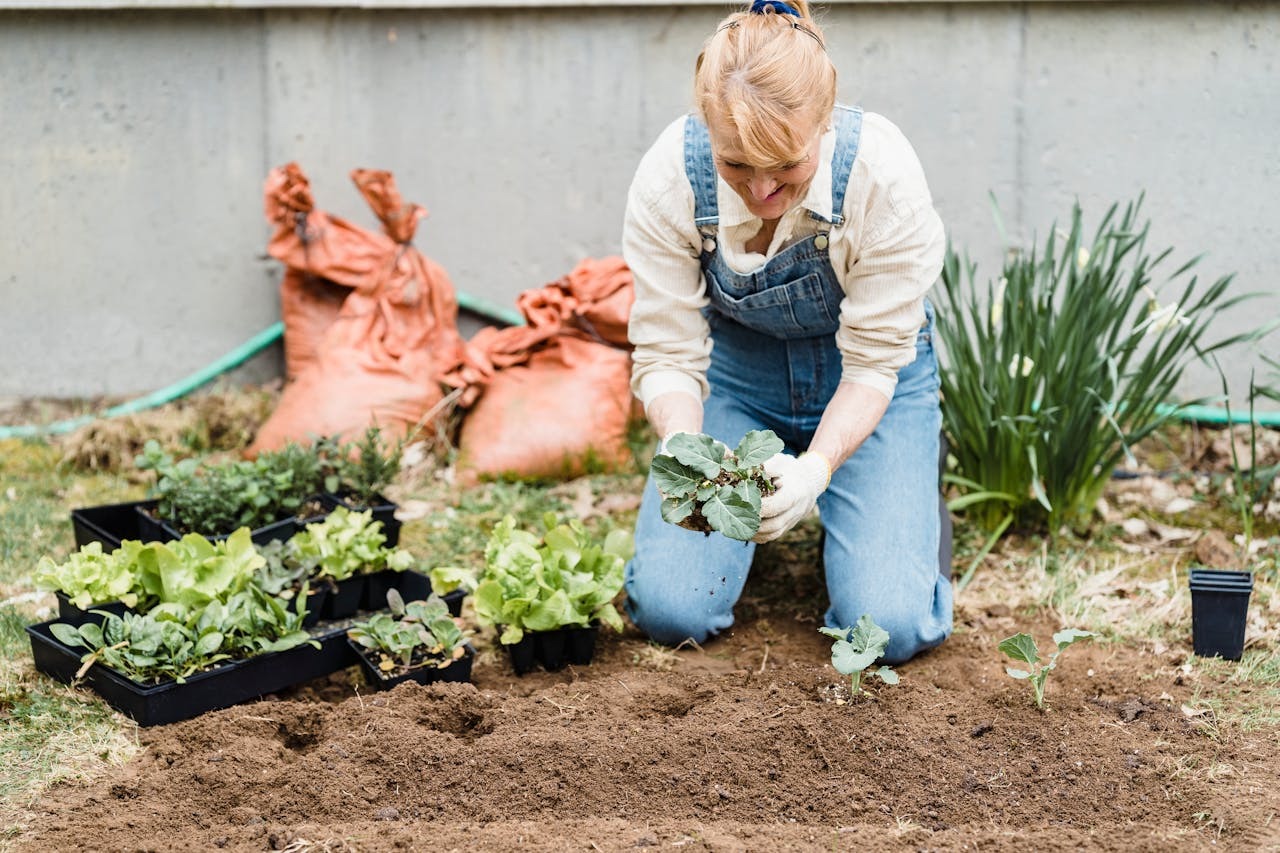 How Local Seed Banks Support Sustainable Growing
