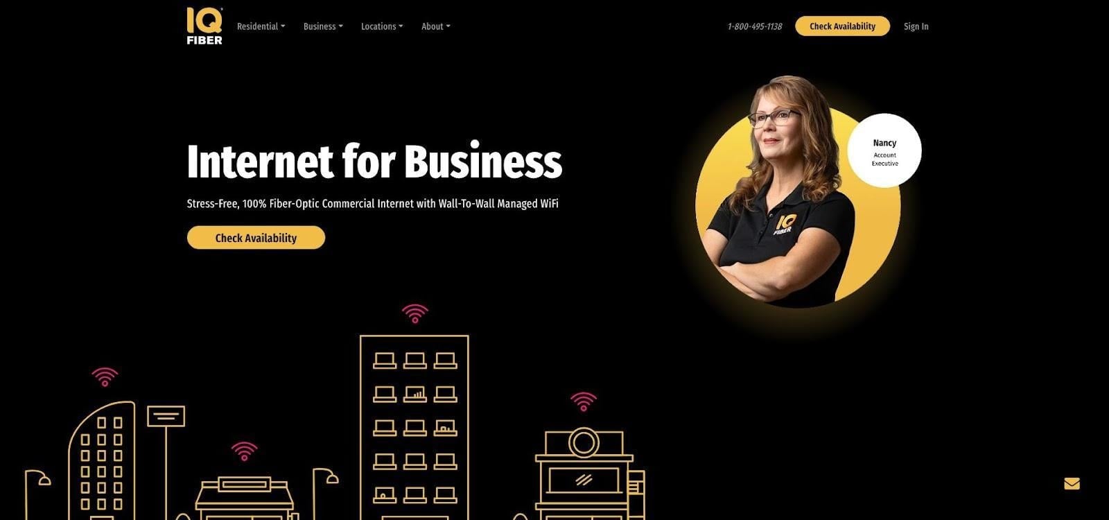 IQ Fiber Business