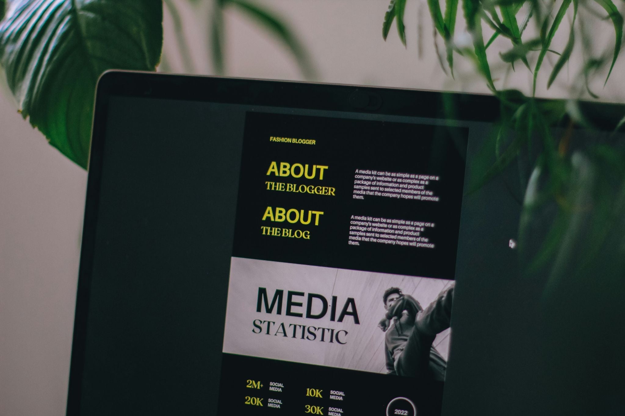 Media Statistic