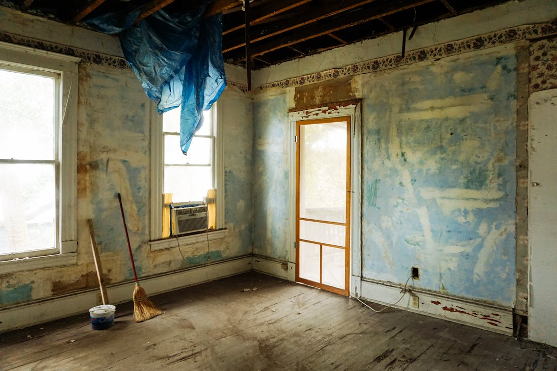  mold remediation services