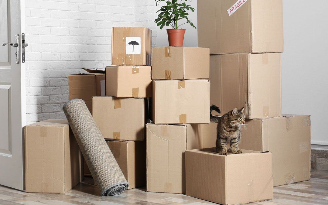 Navigating the moving process