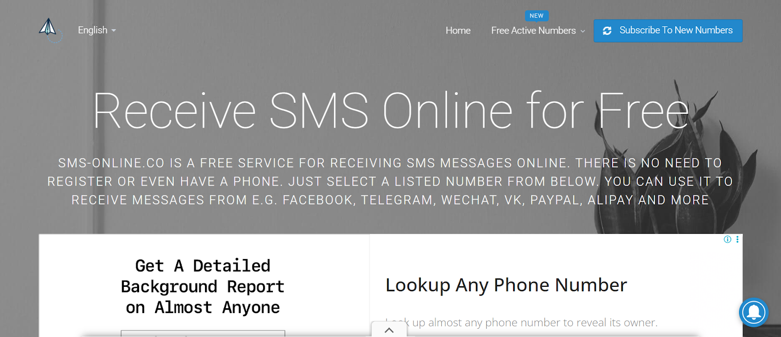 SMS-Online.co