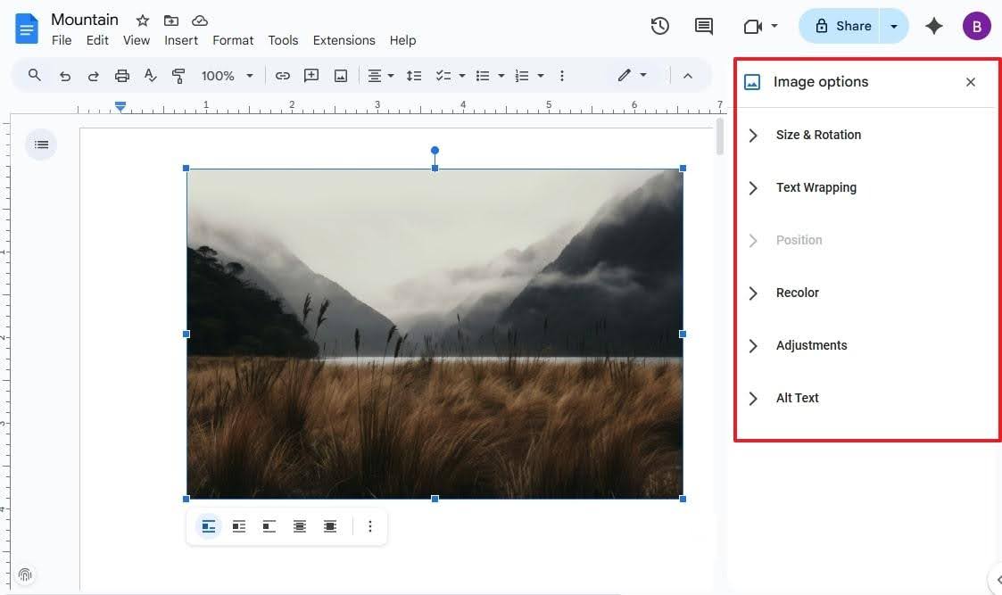 Step 3. Now, access the “Image Option” right panel, and make image changes, like adjustments, recoloring, rotation, and more.