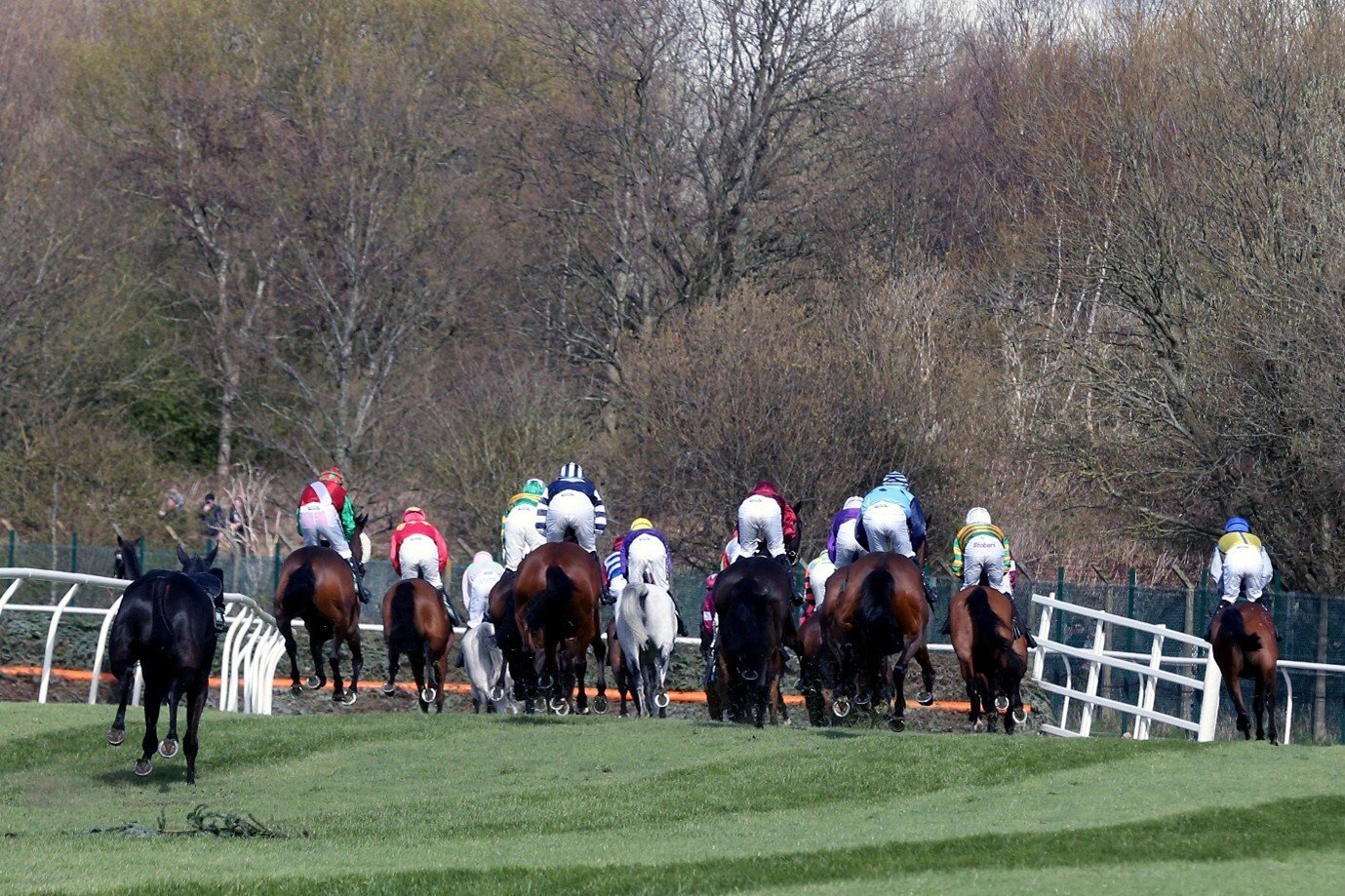 The Grand National