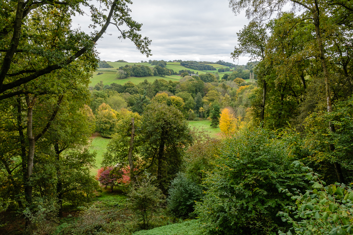 Winkworth Arboretum – Godalming