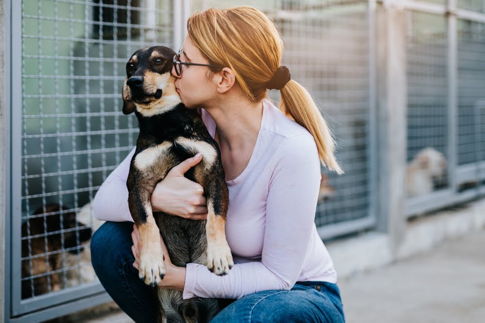 a woman kissing a dog