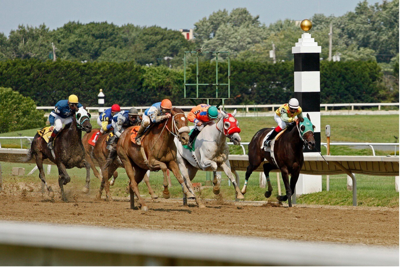 Photo of horse race
