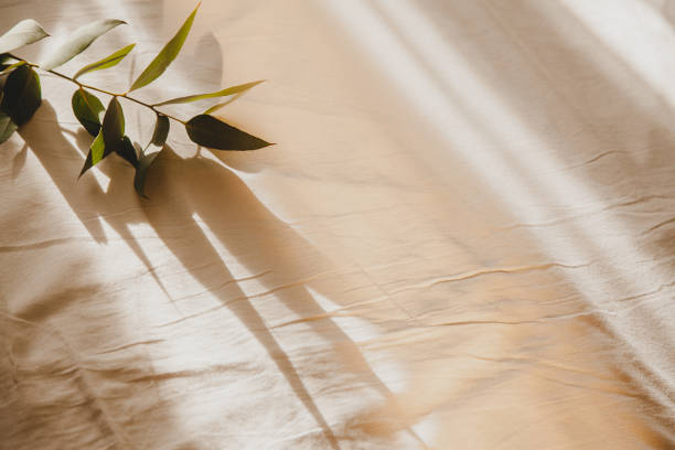 close up of eucalyptus leaves on sheets