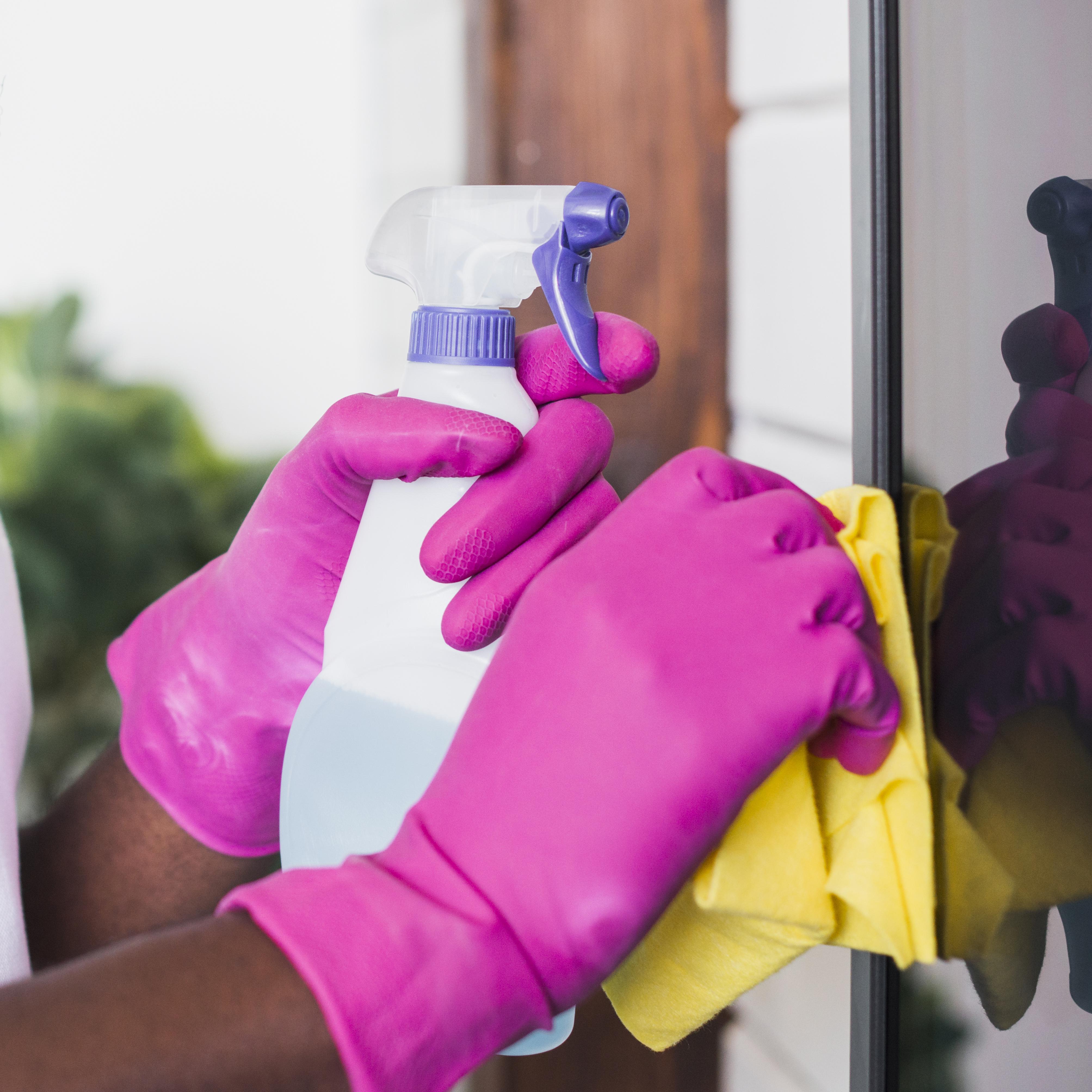 Close-up hands holding cleaning supplies