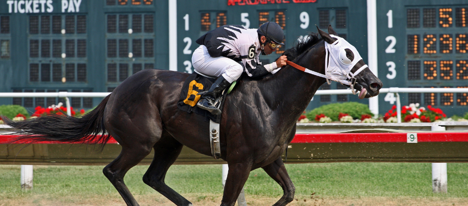 horse race