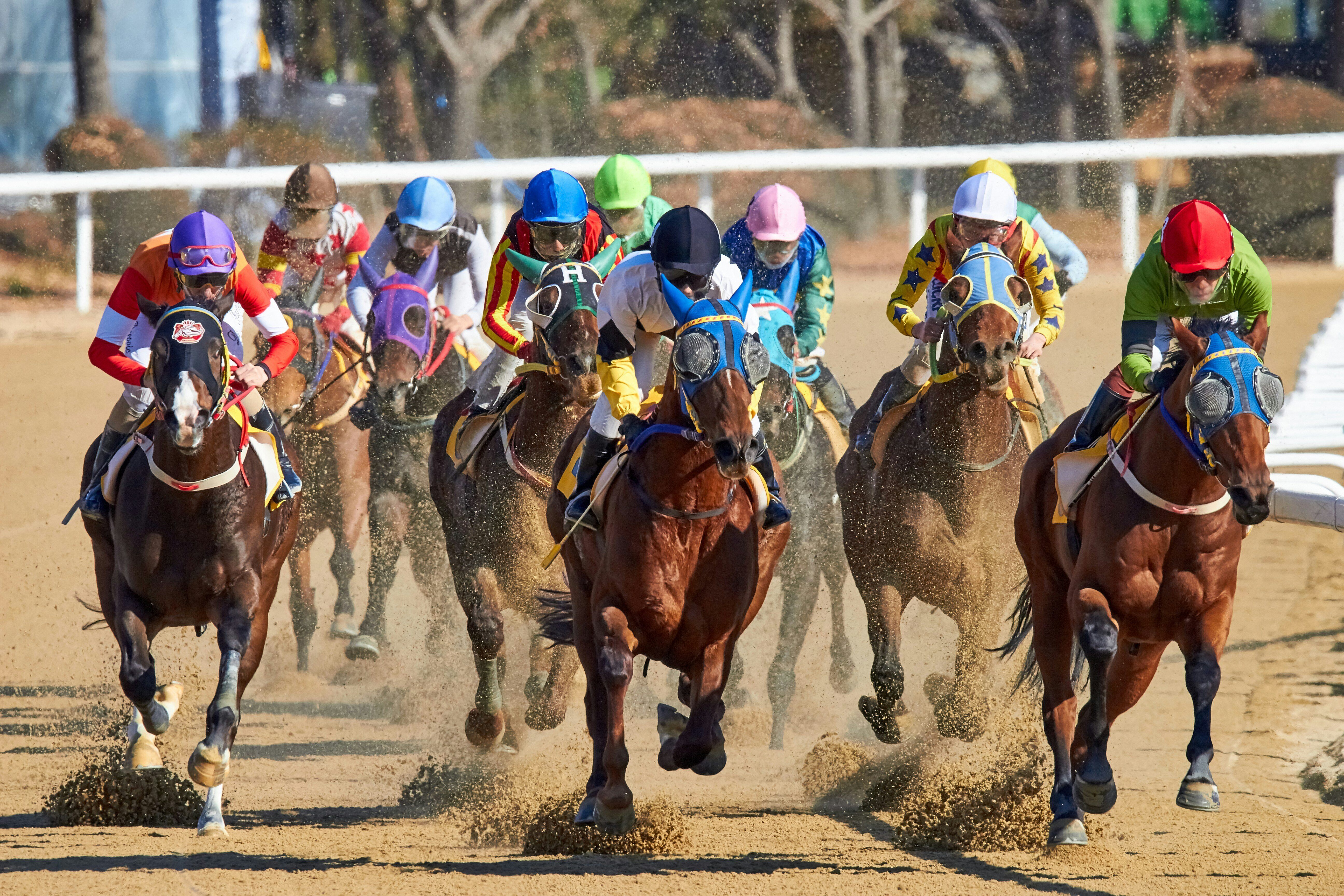 Horse race in action, with jockeys in colorful uniforms riding galloping horses on a dirt track.