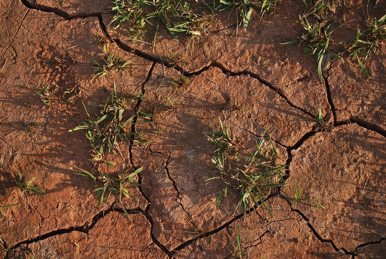 When the Soil Dries Up and the Labels Stay On