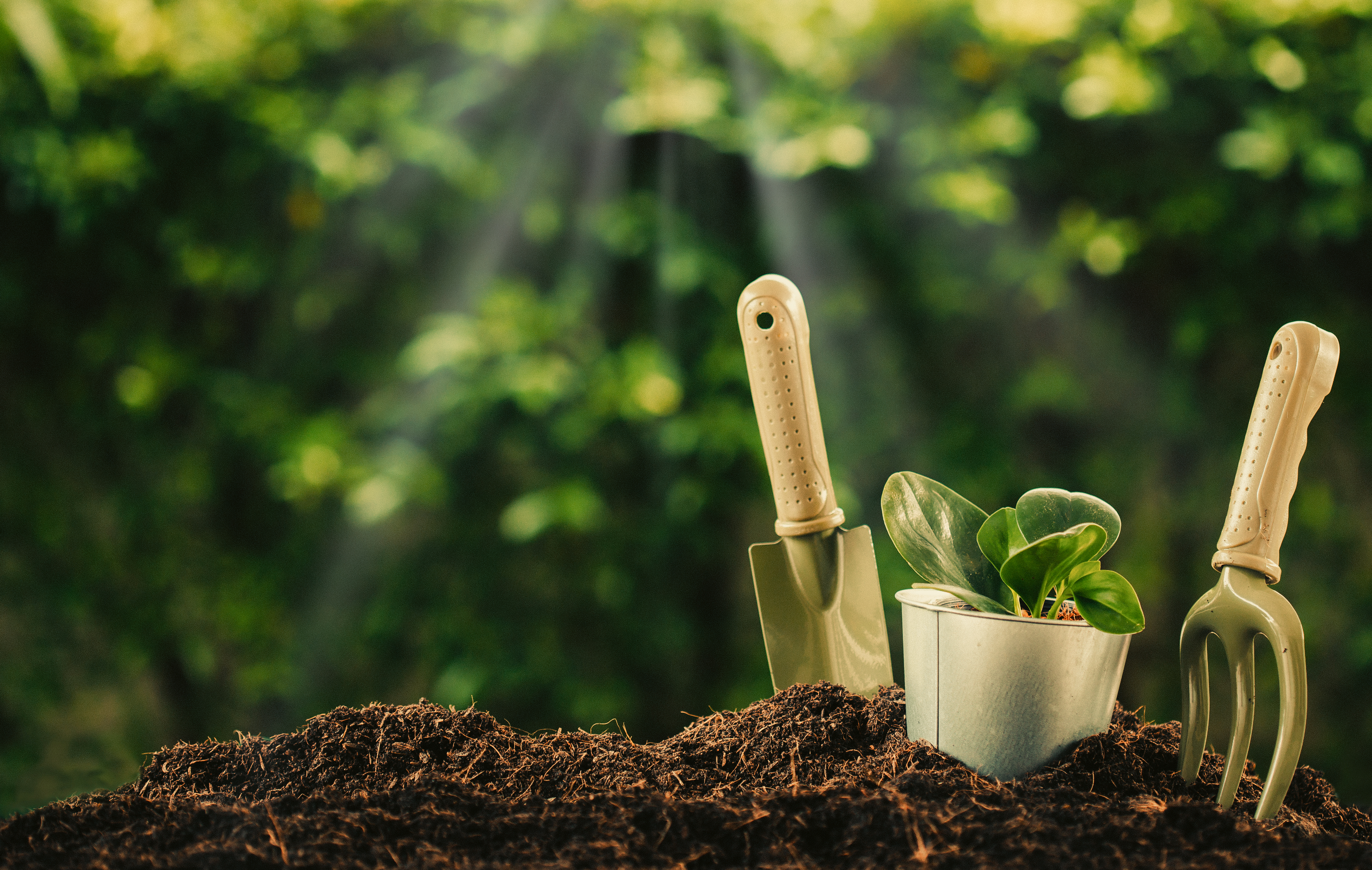 Planting a small plant on a pile of soil with Gardening tools on green bokeh background.